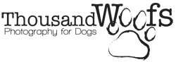 Thousand Woofs Photography for Dogs