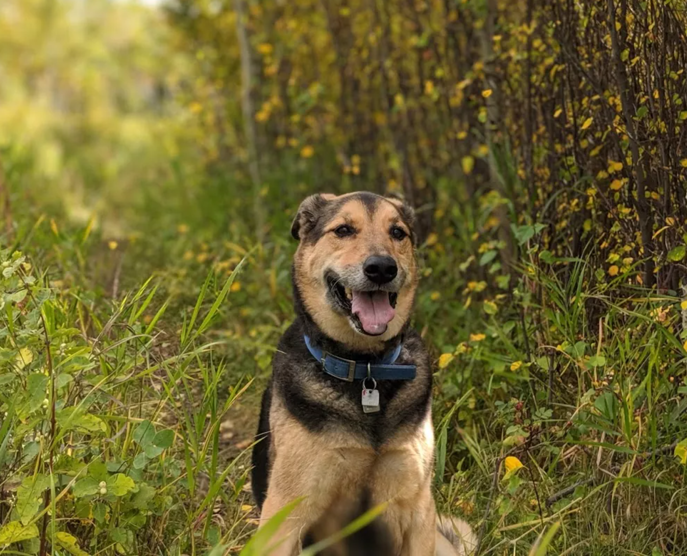 Sydney’s Happy Ending