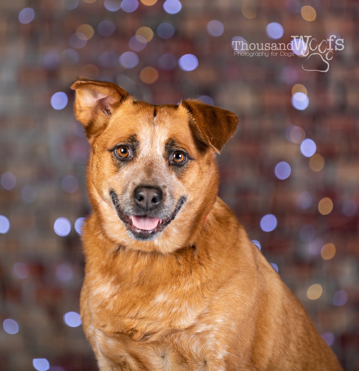 Missy’s Happy Ending