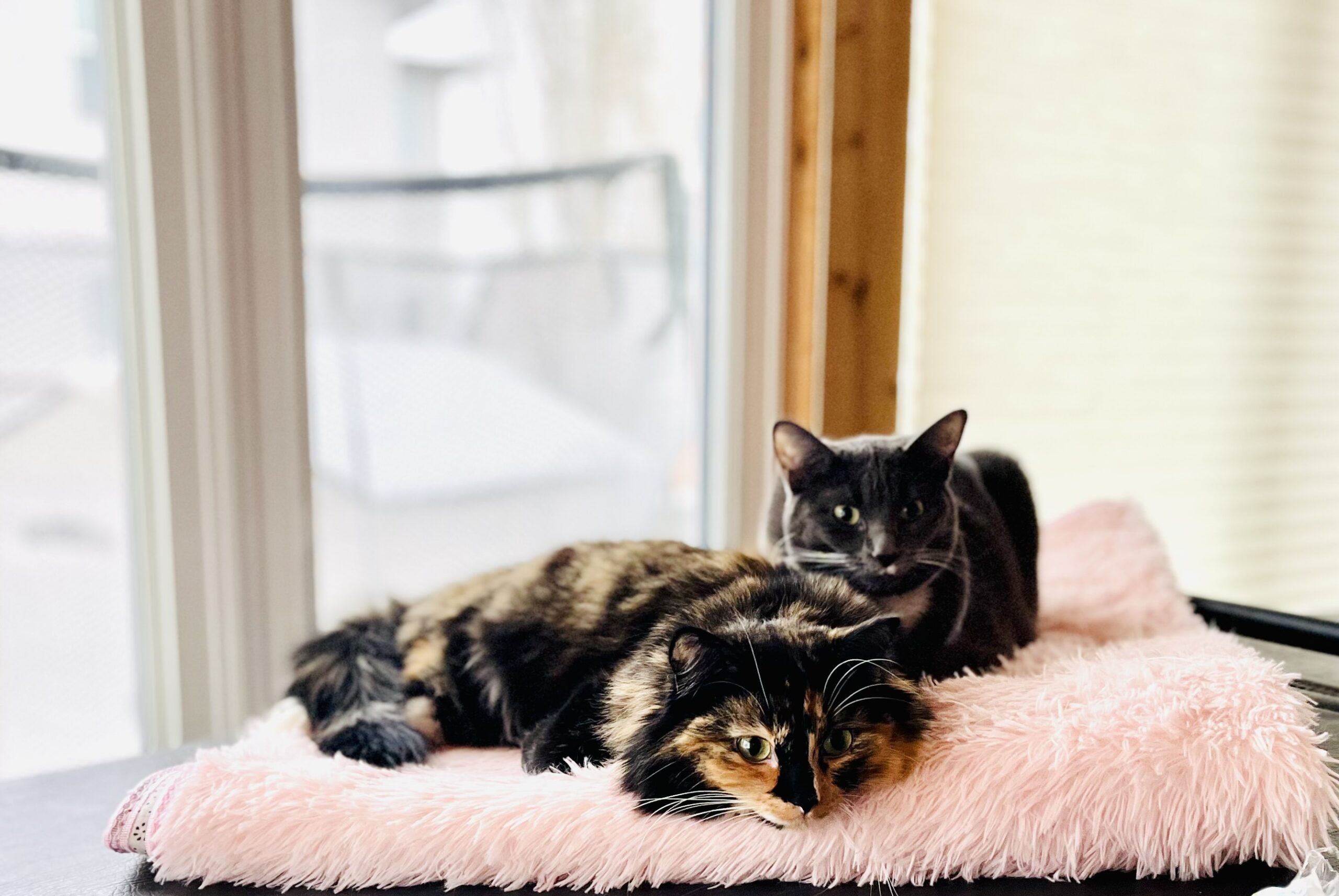 Raya’s Happy Ending