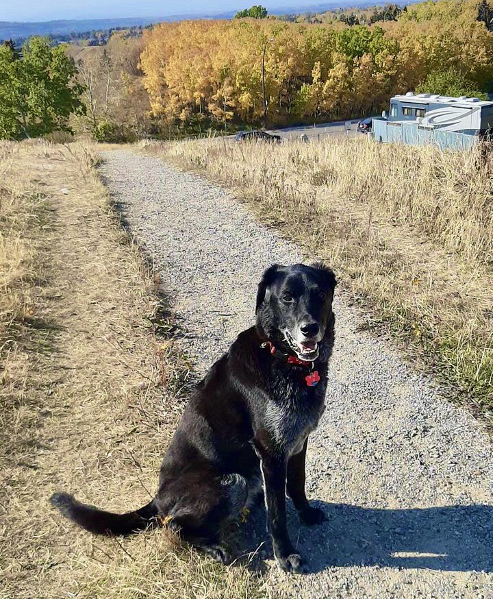 Sable’s Adoption Story