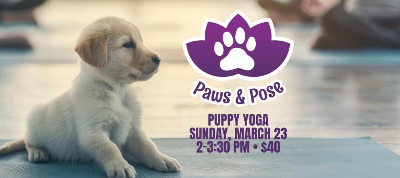 Puppy sitting on a yoga map