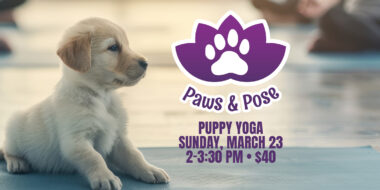 Puppy sitting on a yoga map