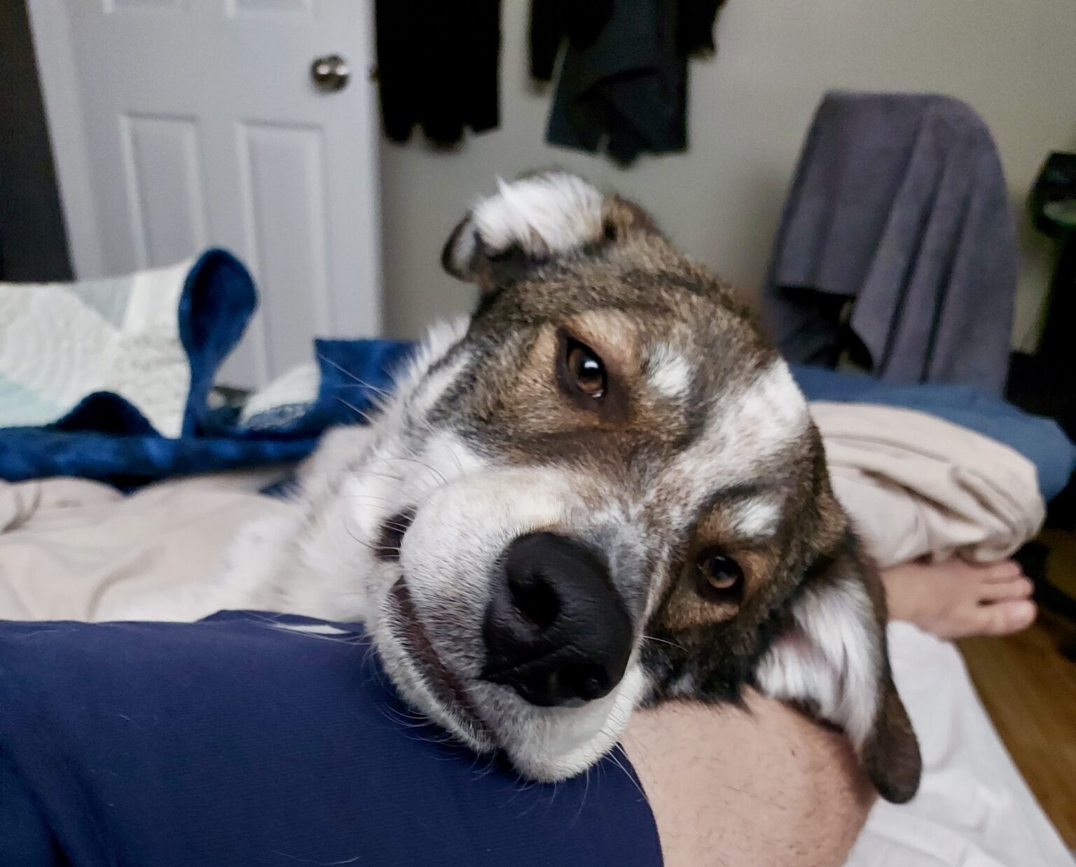 Finn’s Adoption Story