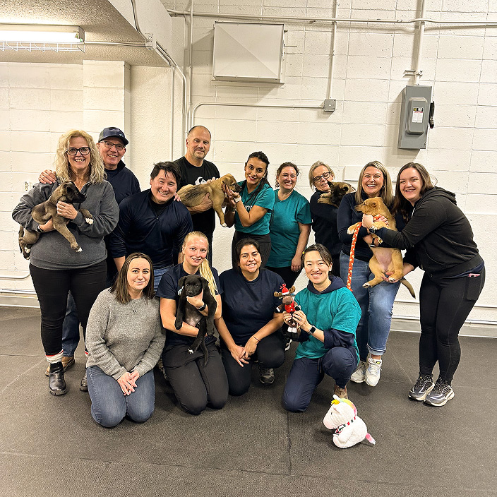 Sponsorship Programs | Animal Rescue Foundation